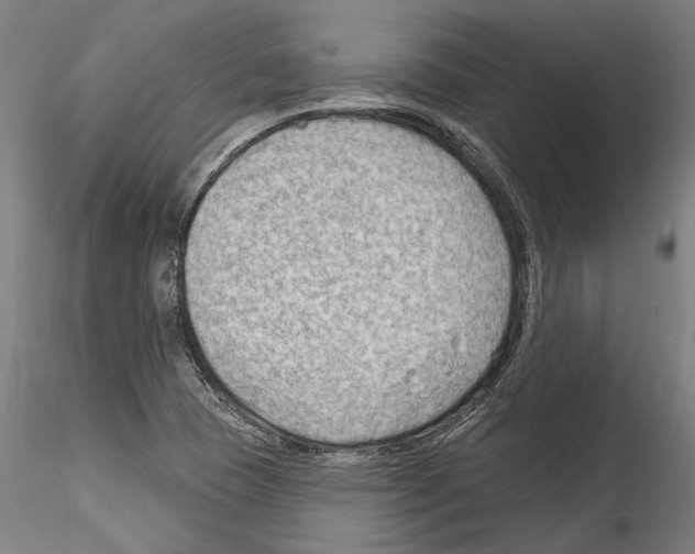 X0000114531409200911301128