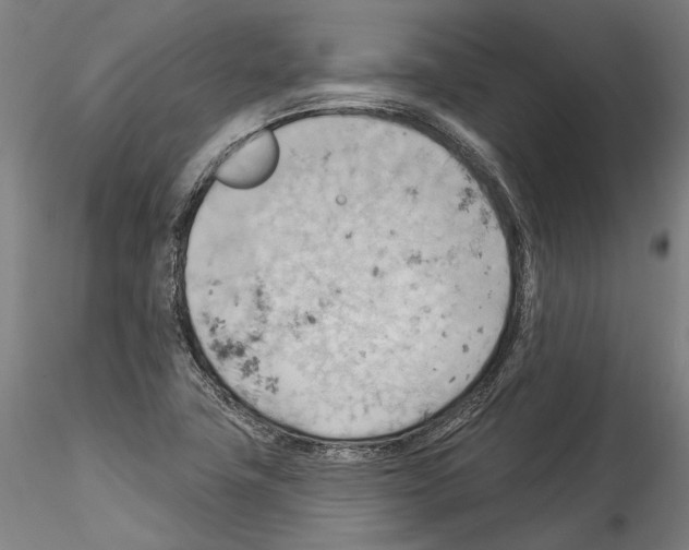 X0000114531411200911301128