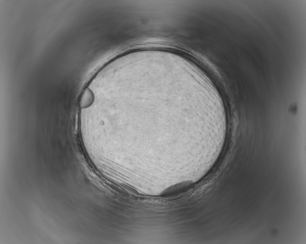 X0000114531413200911301128