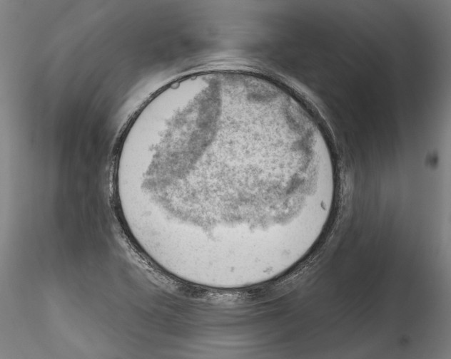 X0000114531415200911301128