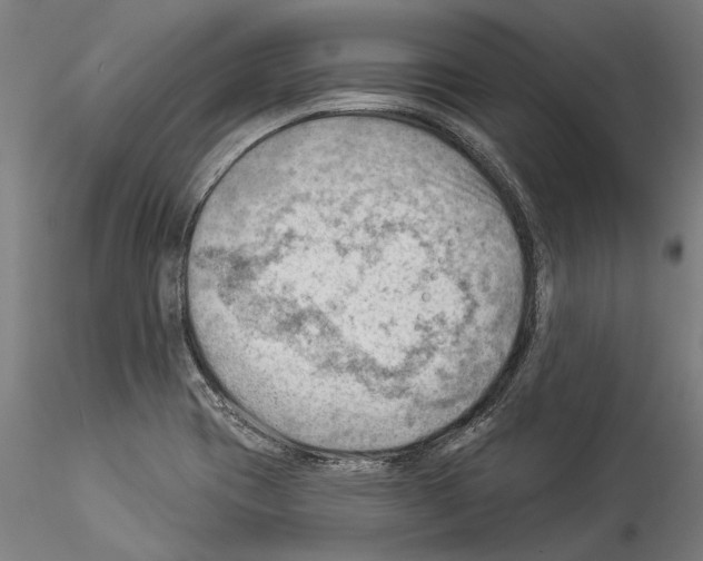 X0000114531417200911301128