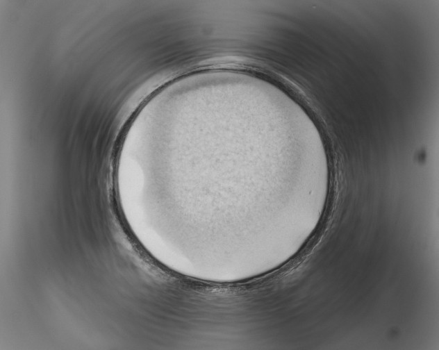 X0000114531418200911301128