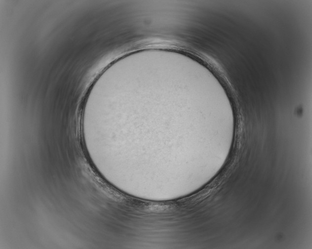 X0000114531419200911301128