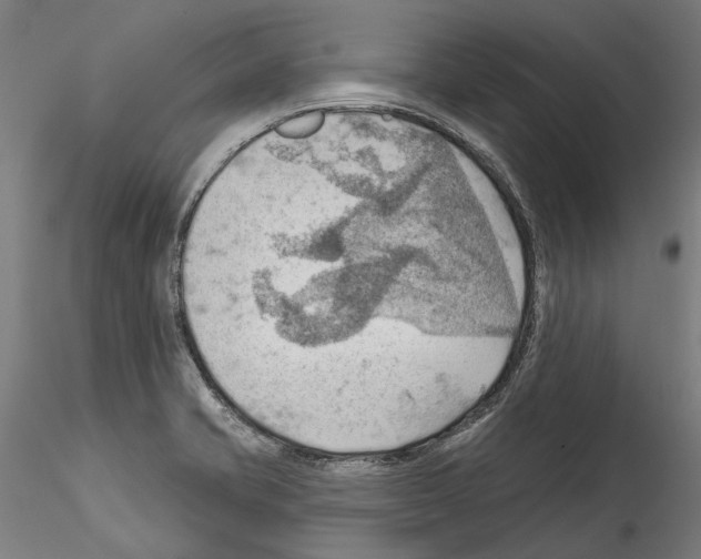 X0000114531421200911301128