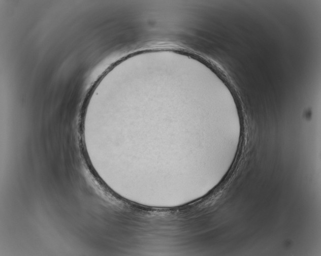 X0000114531422200911301128