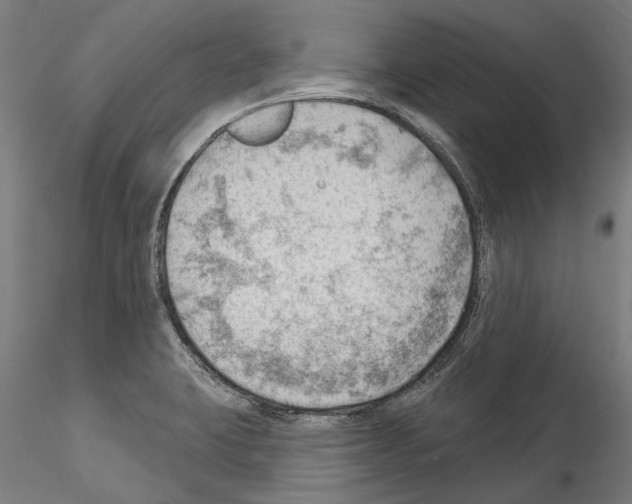 X0000114531423200911301128