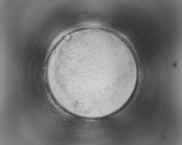 X0000114531424200911301128