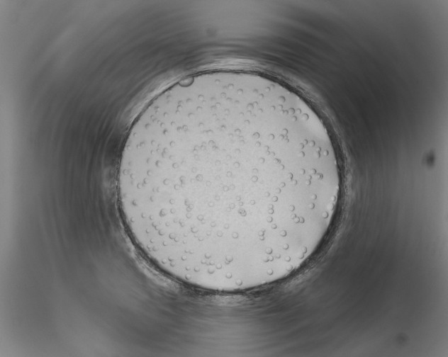 X0000114531425200911301128