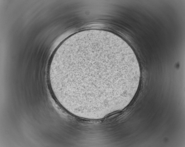 X0000114531426200911301128