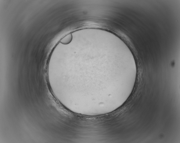 X0000114531427200911301128