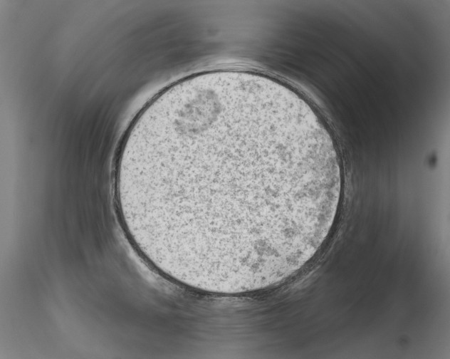 X0000114531430200911301128