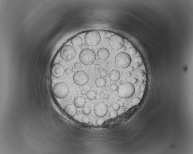 X0000114531432200911301128