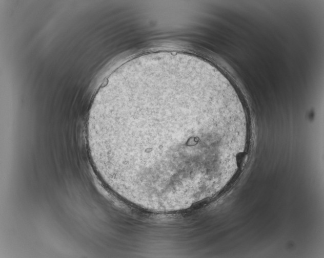 X0000114531433200911301128