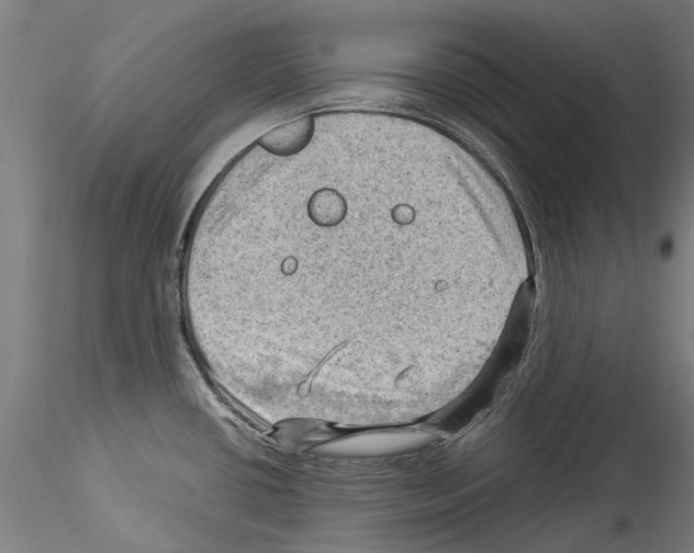 X0000114531434200911301129