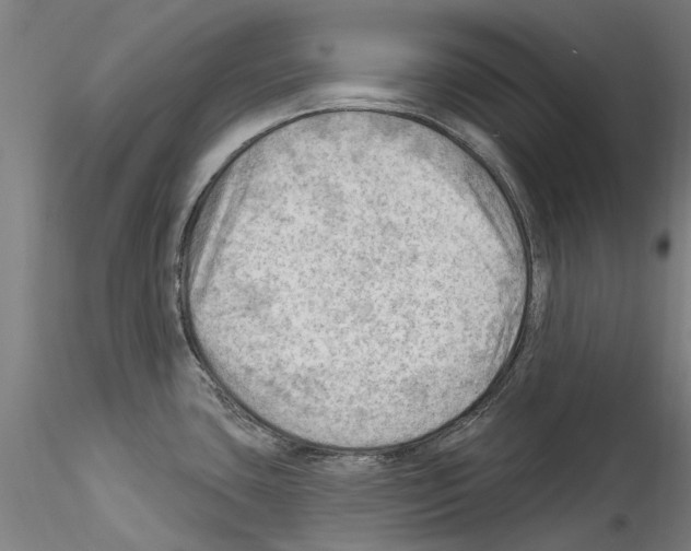 X0000114531435200911301129