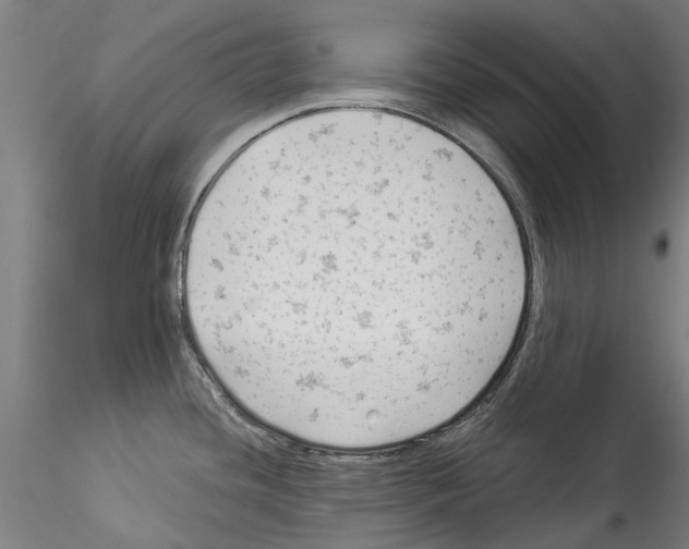 X0000114531436200911301129