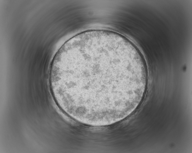 X0000114531437200911301129