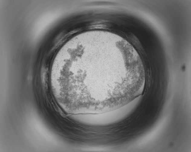 X0000114531438200911301129