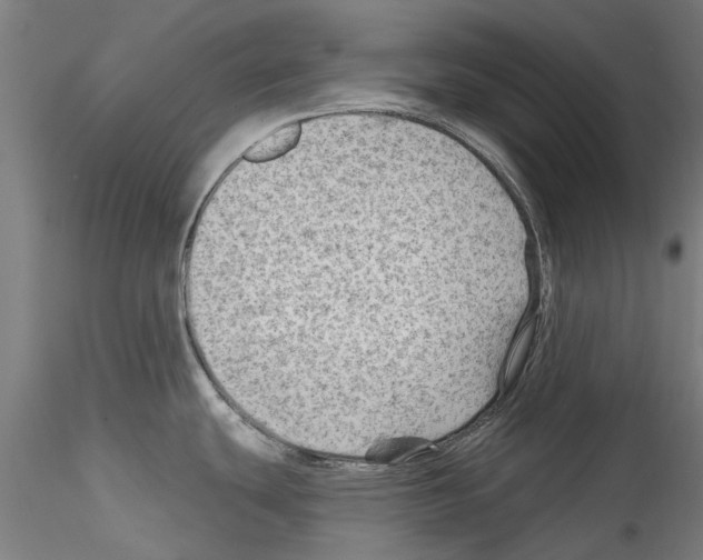 X0000114531439200911301129