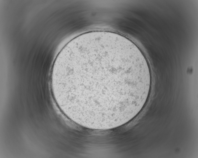 X0000114531440200911301129