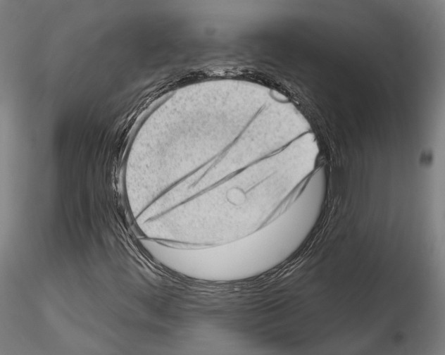 X0000114531444200911301128