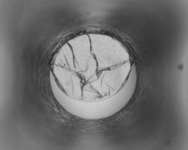 X0000114531445200911301128