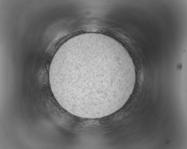 X0000114531446200911301128