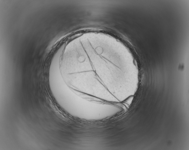 X0000114531448200911301128