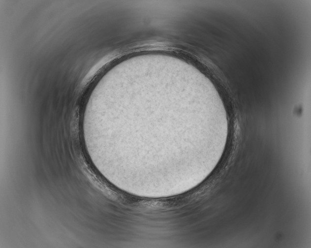 X0000114531450200911301128