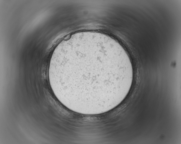 X0000114531451200911301128