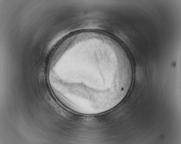 X0000114531452200911301128