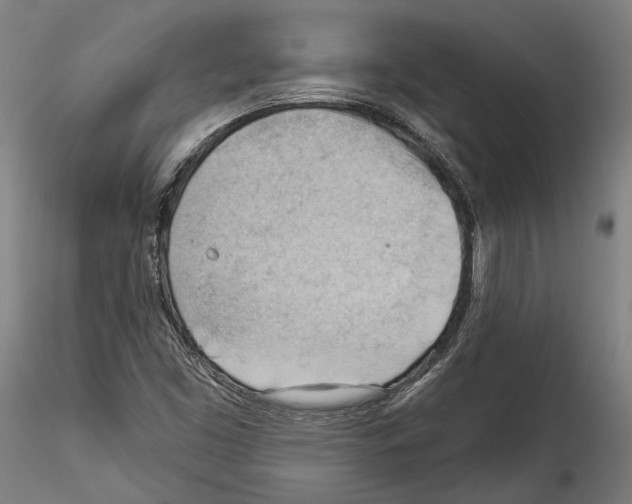 X0000114531453200911301128