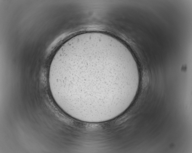 X0000114531454200911301128