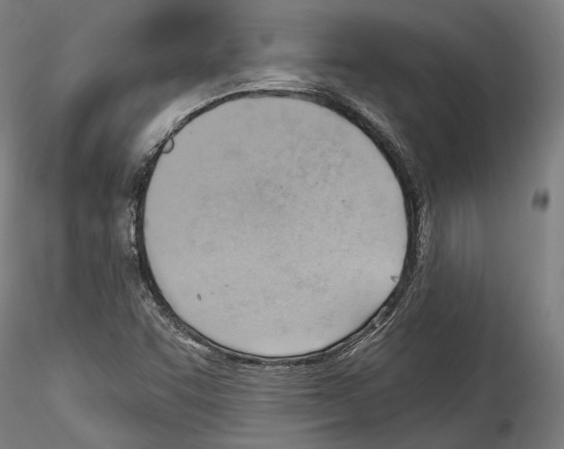 X0000114531455200911301128