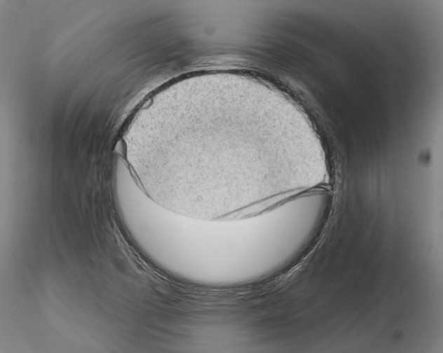 X0000114531457200911301128