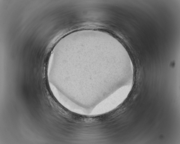 X0000114531459200911301128