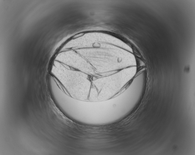 X0000114531460200911301128