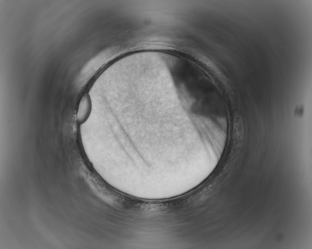 X0000114531461200911301128