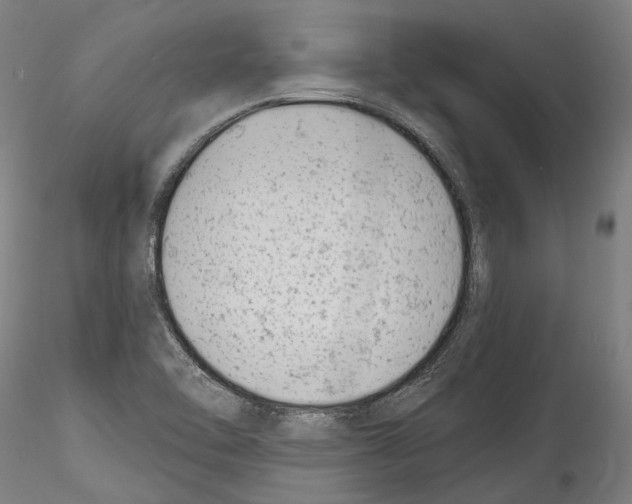 X0000114531462200911301128