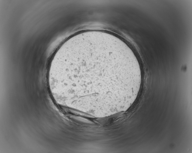 X0000114531464200911301128