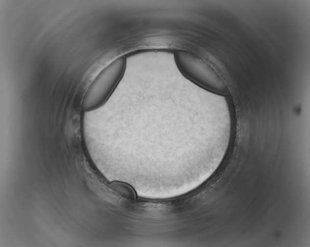 X0000114531465200911301128