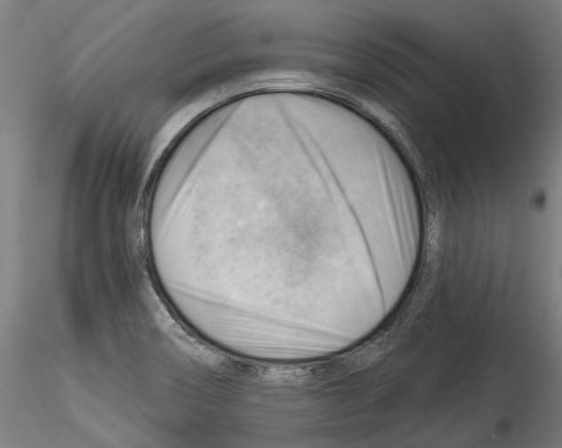 X0000114531466200911301128