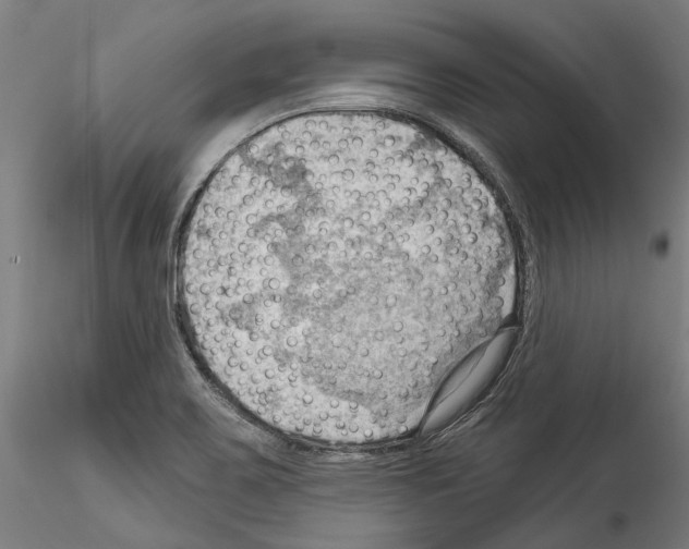 X0000114531467200911301128