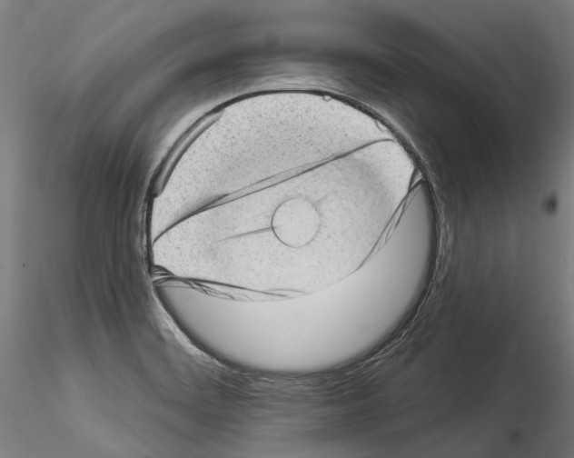 X0000114531468200911301128