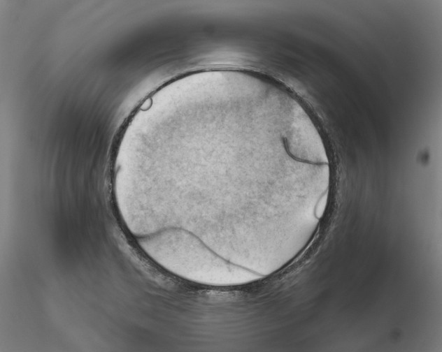 X0000114531469200911301128