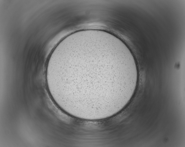 X0000114531470200911301128