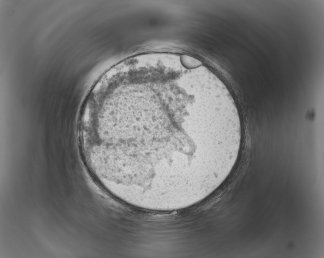 X0000114531471200911301128