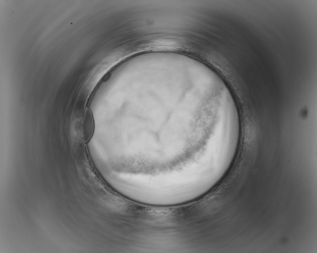 X0000114531473200911301127