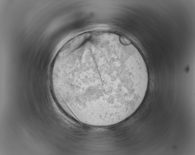 X0000114531475200911301127