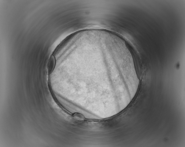 X0000114531476200911301127